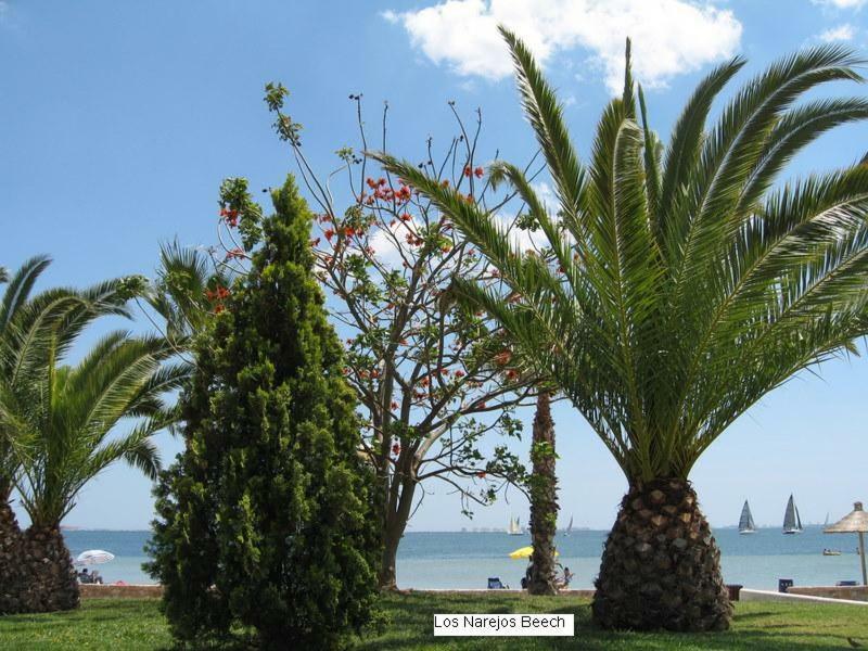 Beautiful 1 Bedroom Apartment In Roda, Los Alcazares. Larger Than Average. Εξωτερικό φωτογραφία